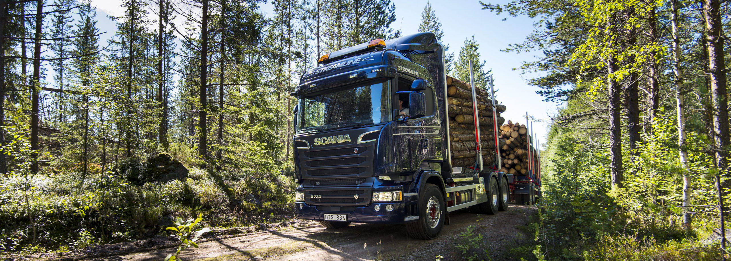 timber industry road transport image