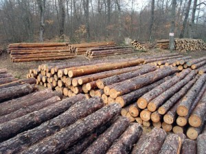 Log and timber industry load secure image